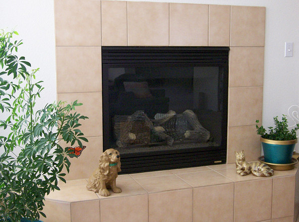 Gas Fireplace Design